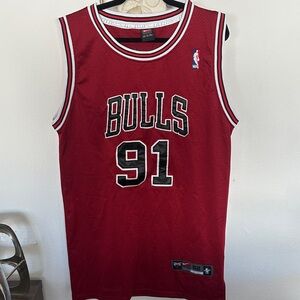 Vintage Nike Team Chicago Bulls Dennis Rodman Jersey